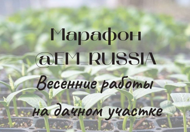 Марафон "Весенние работы на дачном участке"