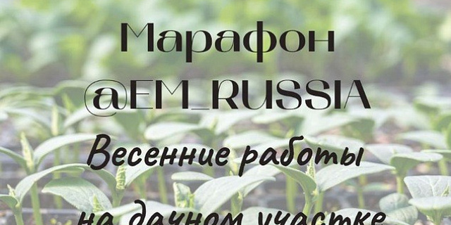 Марафон "Весенние работы на дачном участке"