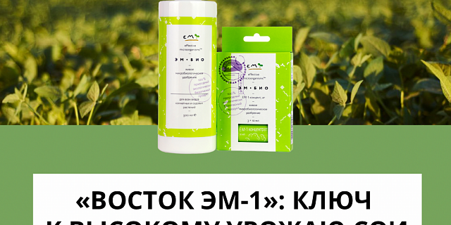 «Восток EM-1»: Ключ к высокому урожаю сои